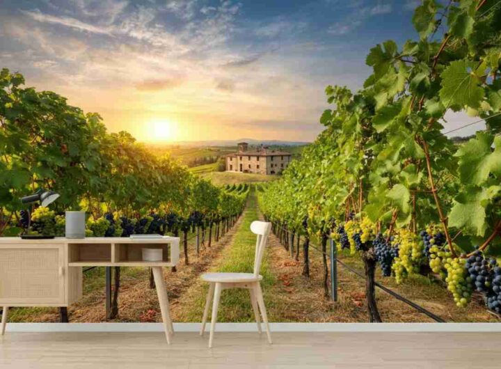 Export del vino italiano: un leggero aumento nel marzo 2025, ma i mercati frenano
