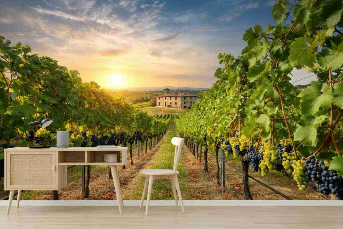 Export del vino italiano: un leggero aumento nel marzo 2025, ma i mercati frenano