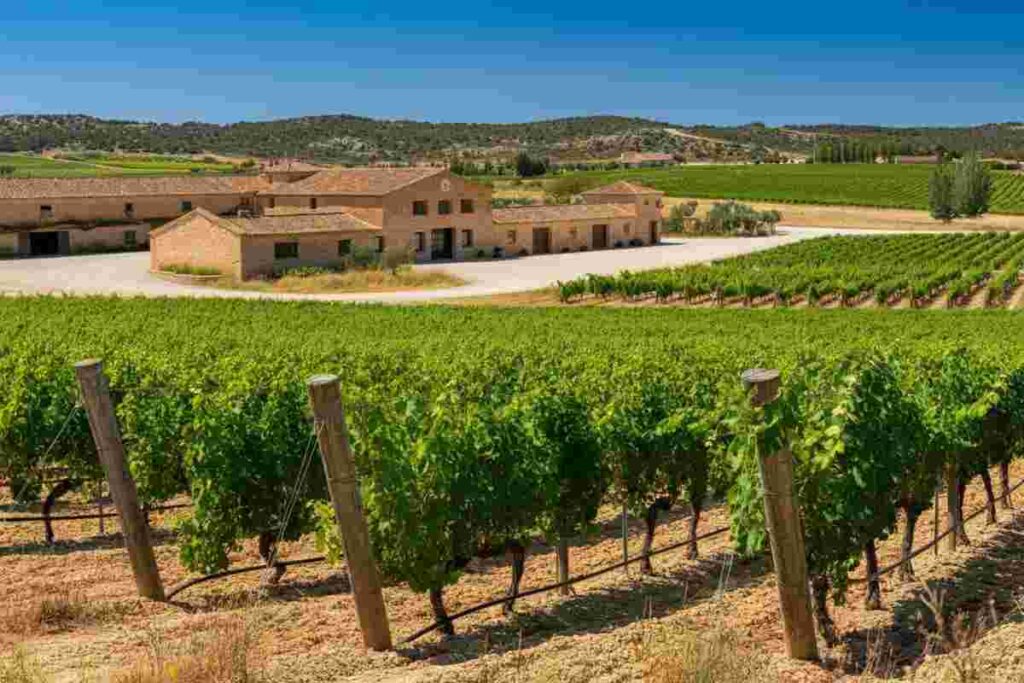 Fantini espande i suoi orizzonti: acquisizione strategica di Venta La Vega in Spagna