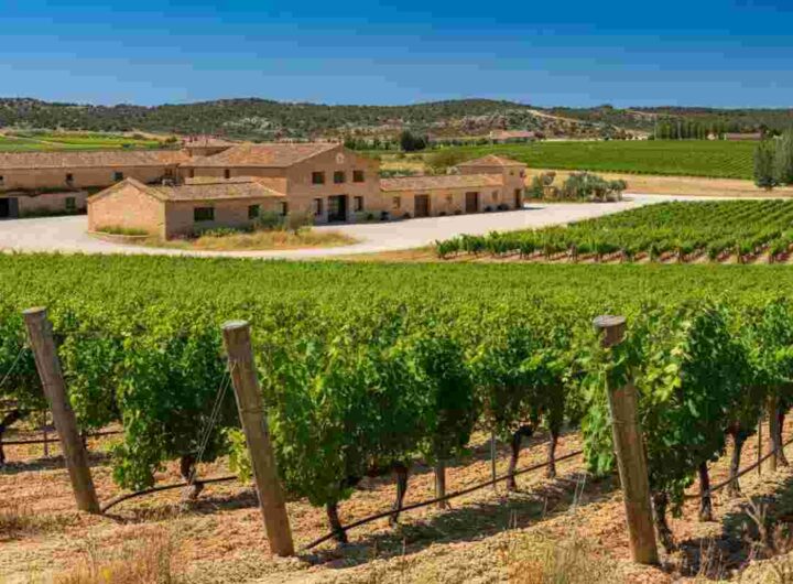 Fantini espande i suoi orizzonti: acquisizione strategica di Venta La Vega in Spagna
