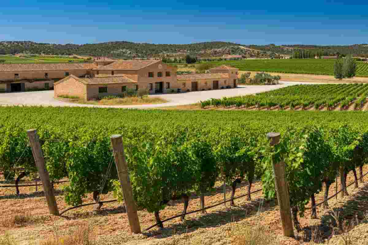Fantini espande i suoi orizzonti: acquisizione strategica di Venta La Vega in Spagna