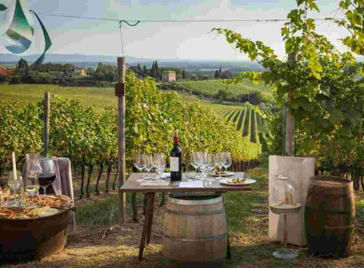 Festa in Cantina 2025: un viaggio tra vino, cucina stellata e arte con Heinz Beck