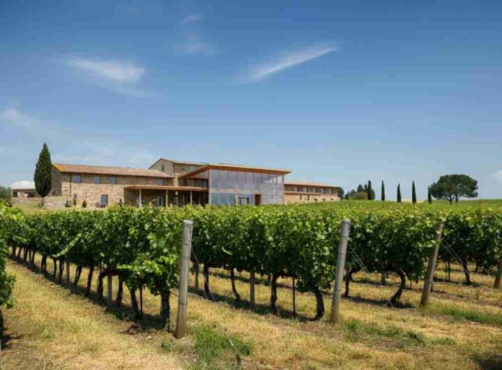 Folonari investe 9 milioni per trasformare l'ospitalità e i suoi impianti