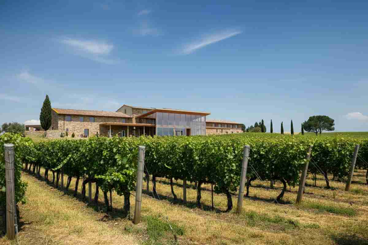 Folonari investe 9 milioni per trasformare l'ospitalità e i suoi impianti