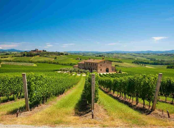 Giacomo Bartolommei alla guida del Consorzio Brunello di Montalcino: una nuova era per il vino italiano