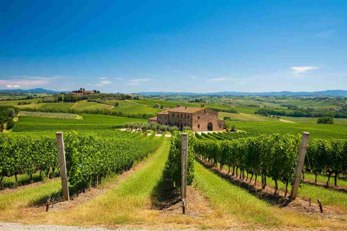Giacomo Bartolommei alla guida del Consorzio Brunello di Montalcino: una nuova era per il vino italiano