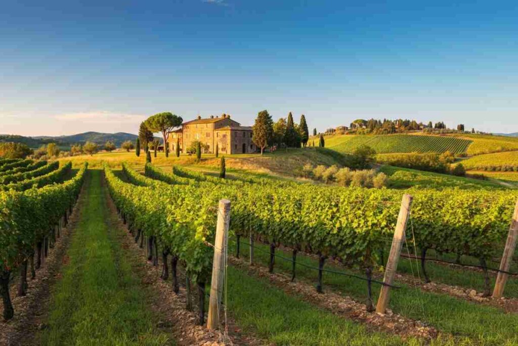 Giacomo Bartolommei di Caprili assume la presidenza del Consorzio del Brunello di Montalcino