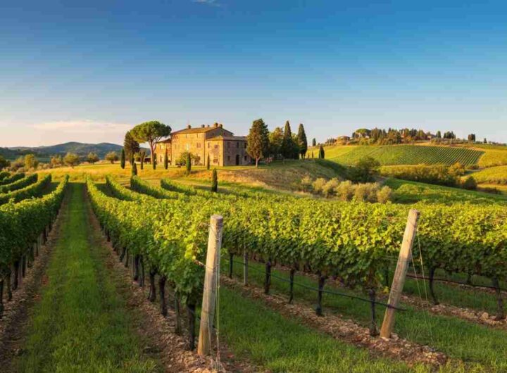 Giacomo Bartolommei di Caprili assume la presidenza del Consorzio del Brunello di Montalcino