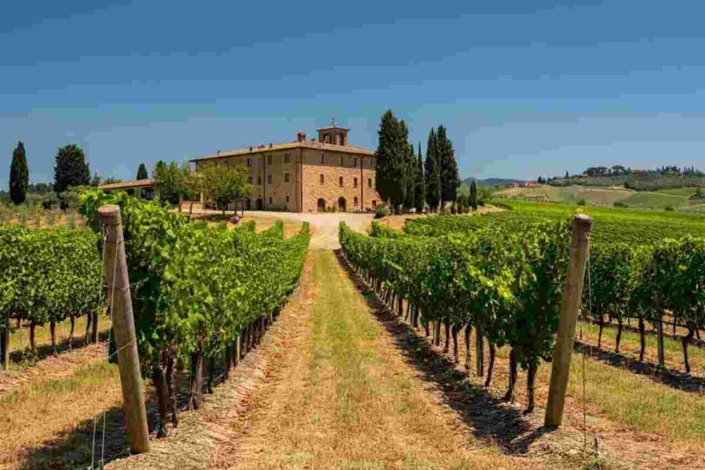 Giacomo Bartolommei guida il futuro del Brunello di Montalcino come nuovo presidente del consorzio