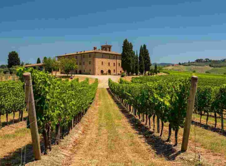 Giacomo Bartolommei guida il futuro del Brunello di Montalcino come nuovo presidente del consorzio