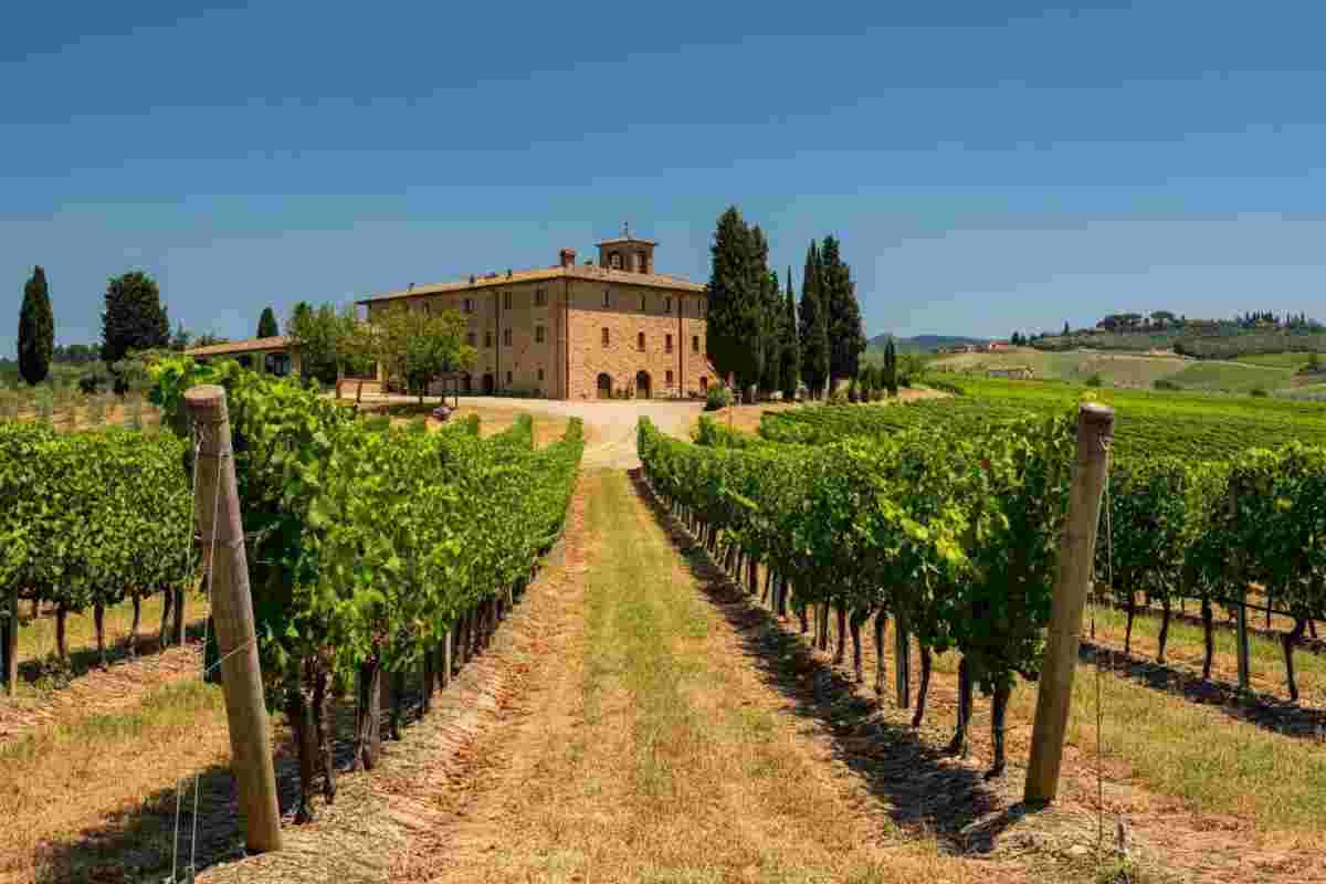 Giacomo Bartolommei guida il futuro del Brunello di Montalcino come nuovo presidente del consorzio