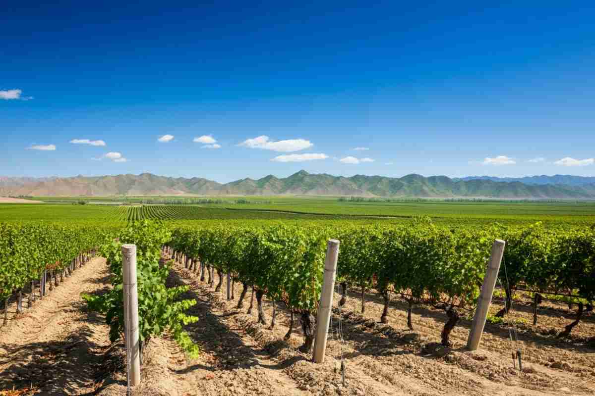 Il 32mo Concours Mondial de Bruxelles prende il via a Yinchuan, Cina: un evento da non perdere