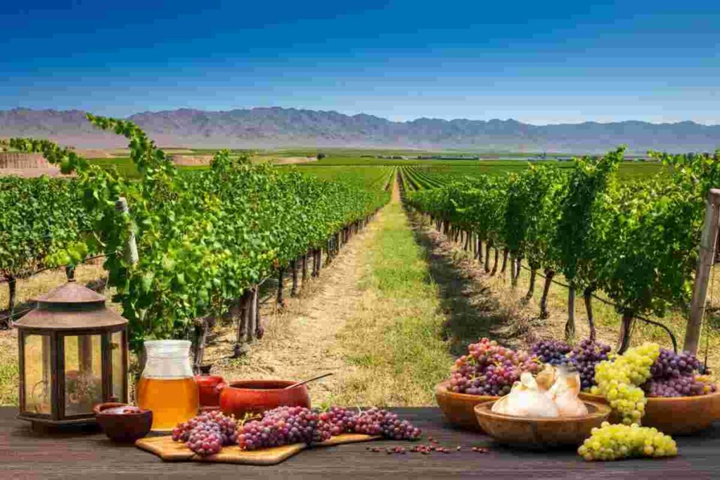 Il Concours Mondial de Bruxelles: un viaggio alla scoperta del Ningxia in Cina
