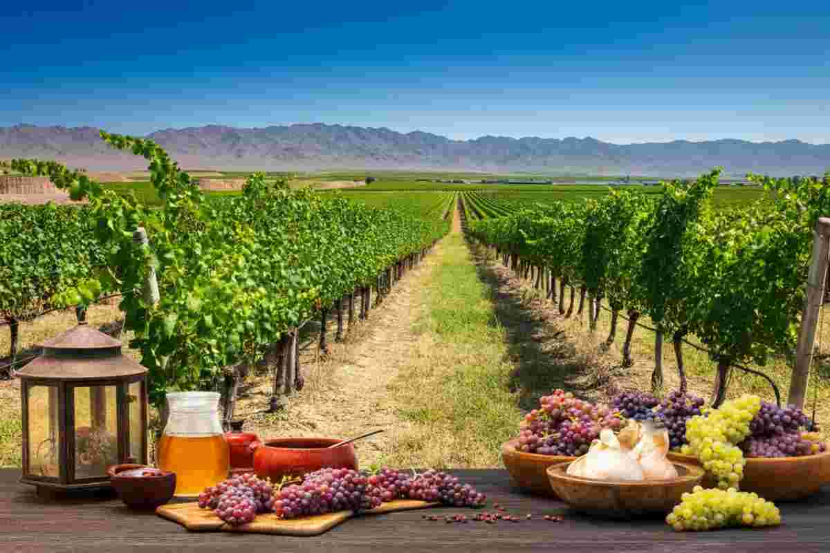 Il Concours Mondial de Bruxelles: un viaggio alla scoperta del Ningxia in Cina