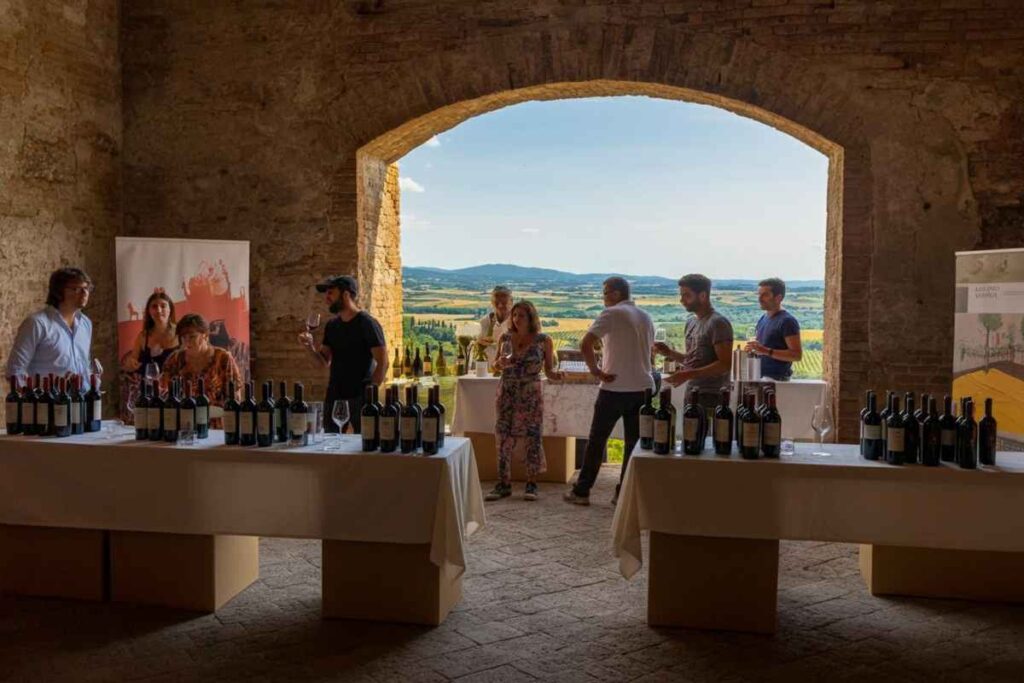 Il Rosso di Montalcino 2025: un grande ritorno da non perdere