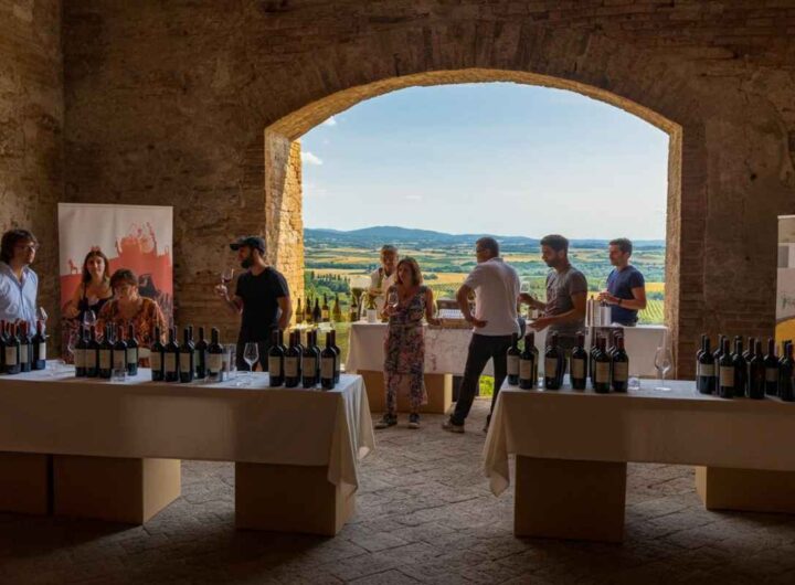 Il Rosso di Montalcino 2025: un grande ritorno da non perdere
