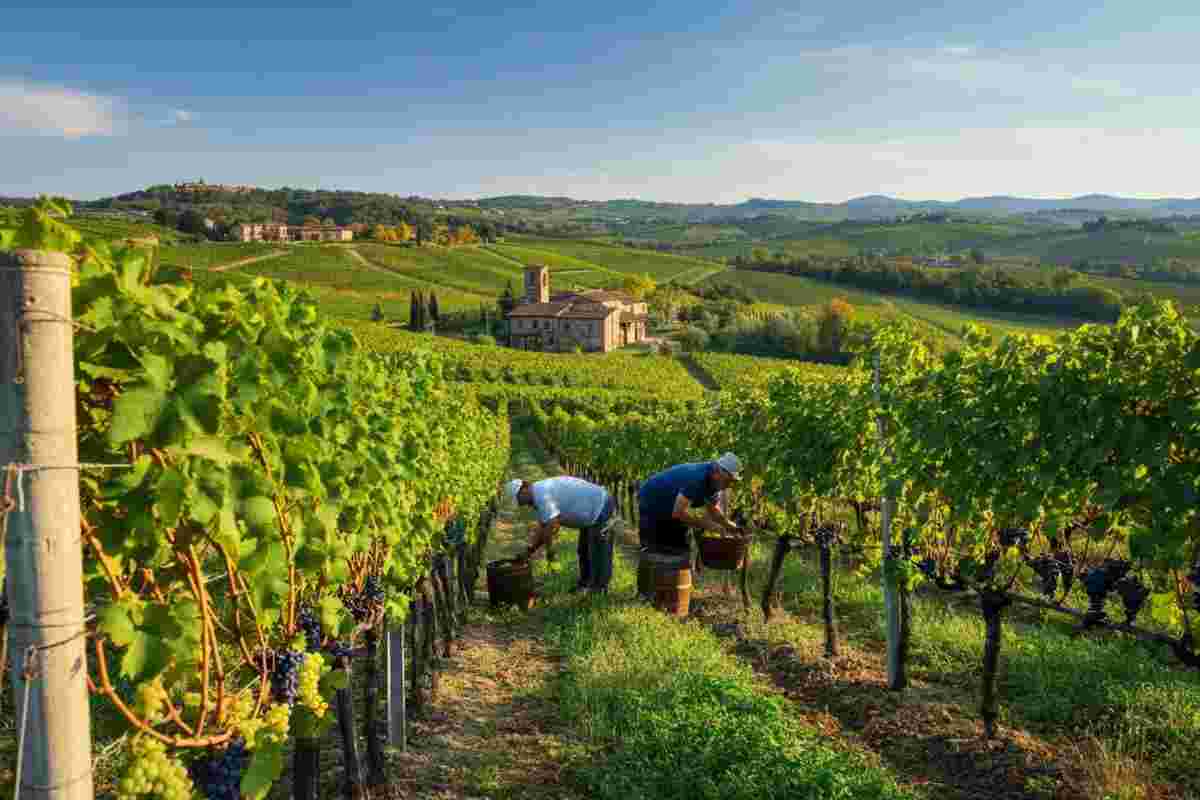 Italian wines shine at the Decanter World Wine Awards 2025