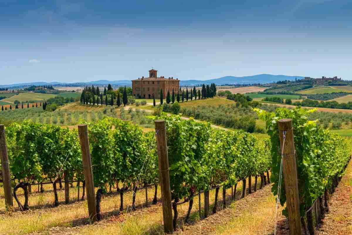La Fondazione Giuseppe Olmo esplora il mondo affascinante dei vini in una giornata di studio unica