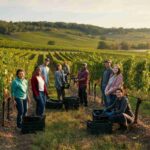 La Vendemmia Solidale: oltre 17.000 euro per una causa nobile con Le Manzane