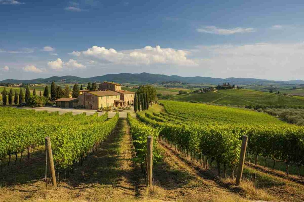 La nuova avventura di Peter Kern a Montalcino: l'acquisto di Lo Scalone dopo Il Palazzone e Albatreti