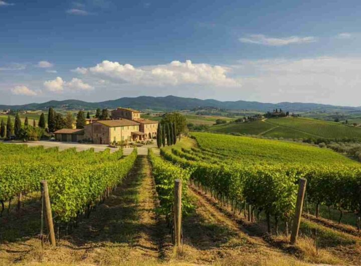 La nuova avventura di Peter Kern a Montalcino: l'acquisto di Lo Scalone dopo Il Palazzone e Albatreti