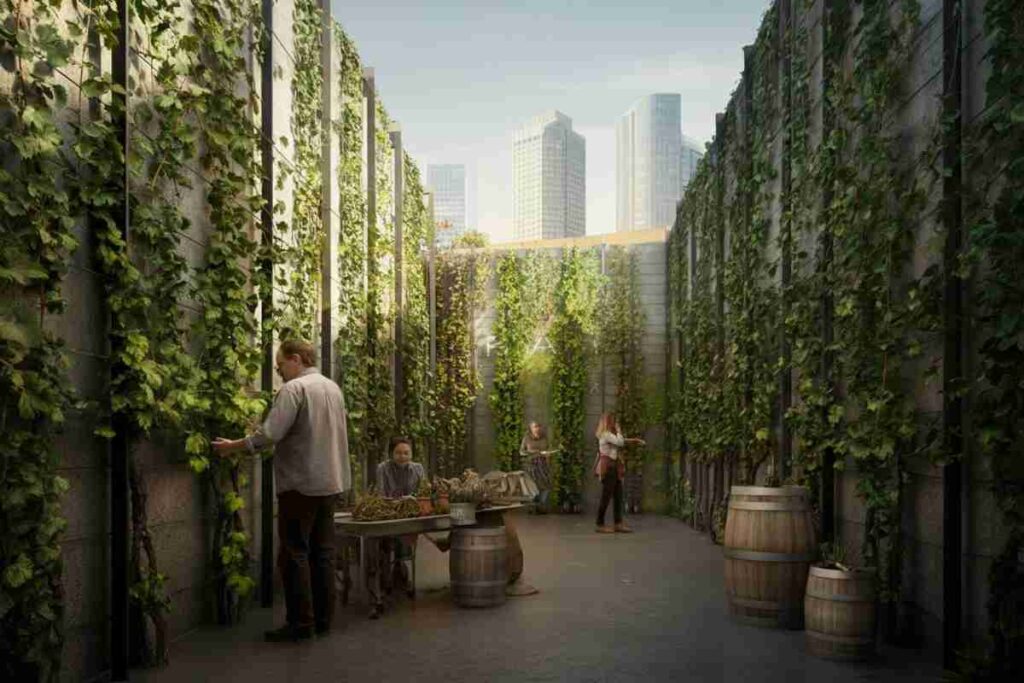 La sorprendente crescita delle vigne urbane: 157 progetti in 35 paesi per un futuro sostenibile