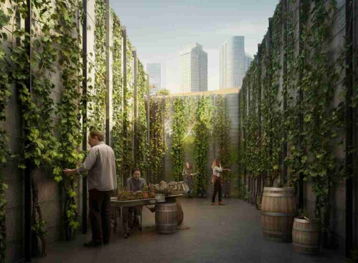 La sorprendente crescita delle vigne urbane: 157 progetti in 35 paesi per un futuro sostenibile