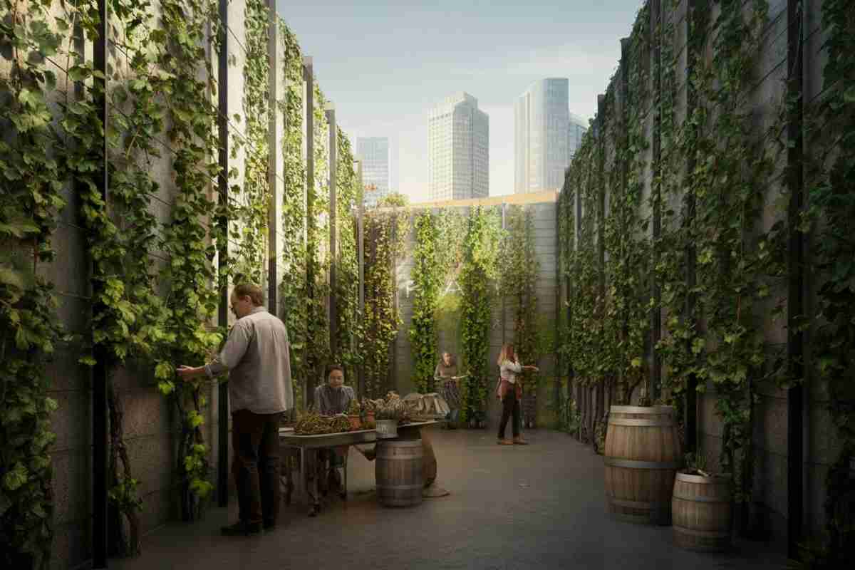 La sorprendente crescita delle vigne urbane: 157 progetti in 35 paesi per un futuro sostenibile