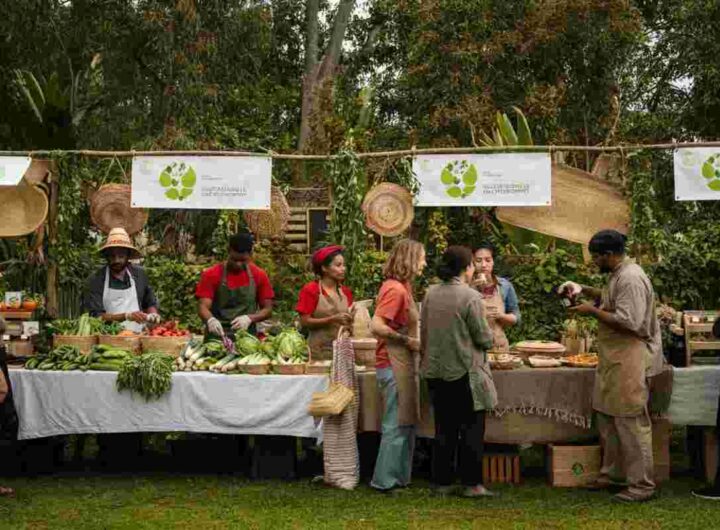 La strada verso una gastronomia sostenibile: scopri come fare la differenza