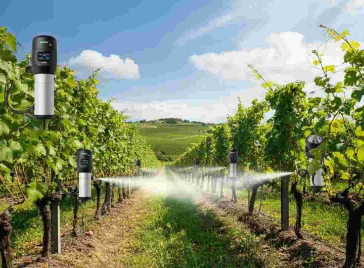 L'innovazione in vigna: il primo atomizzatore intelligente rivoluziona la viticoltura
