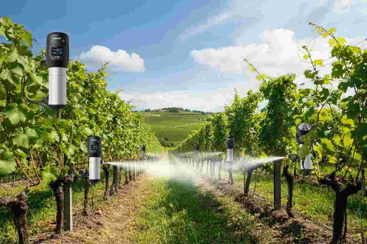 L'innovazione in vigna: il primo atomizzatore intelligente rivoluziona la viticoltura