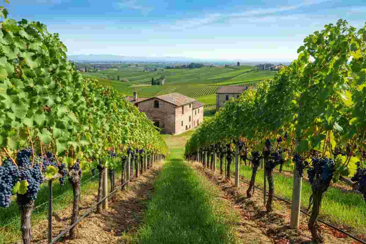Lombardia investe 2,5 milioni di euro per promuovere le etichette Extra UE