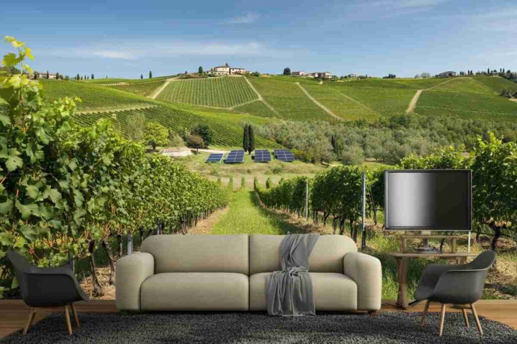 Montecucco: un quarto di secolo di sostenibilità e vini straordinari