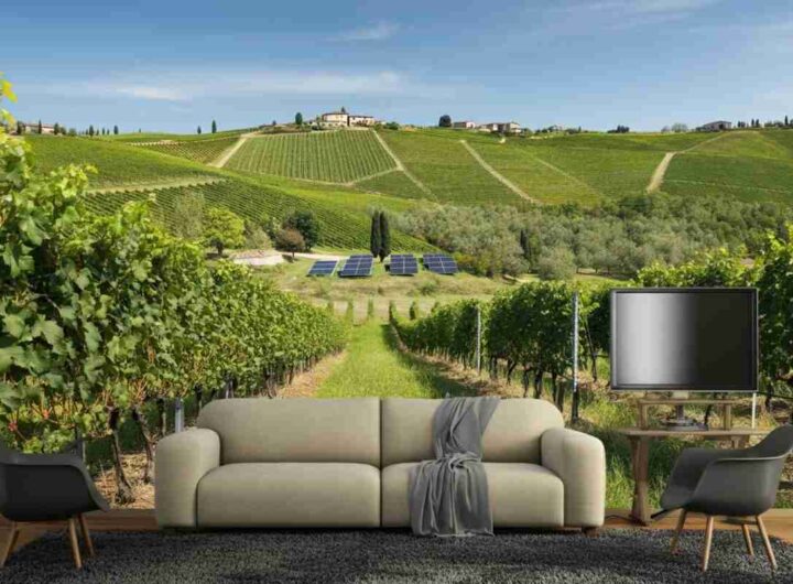 Montecucco: un quarto di secolo di sostenibilità e vini straordinari