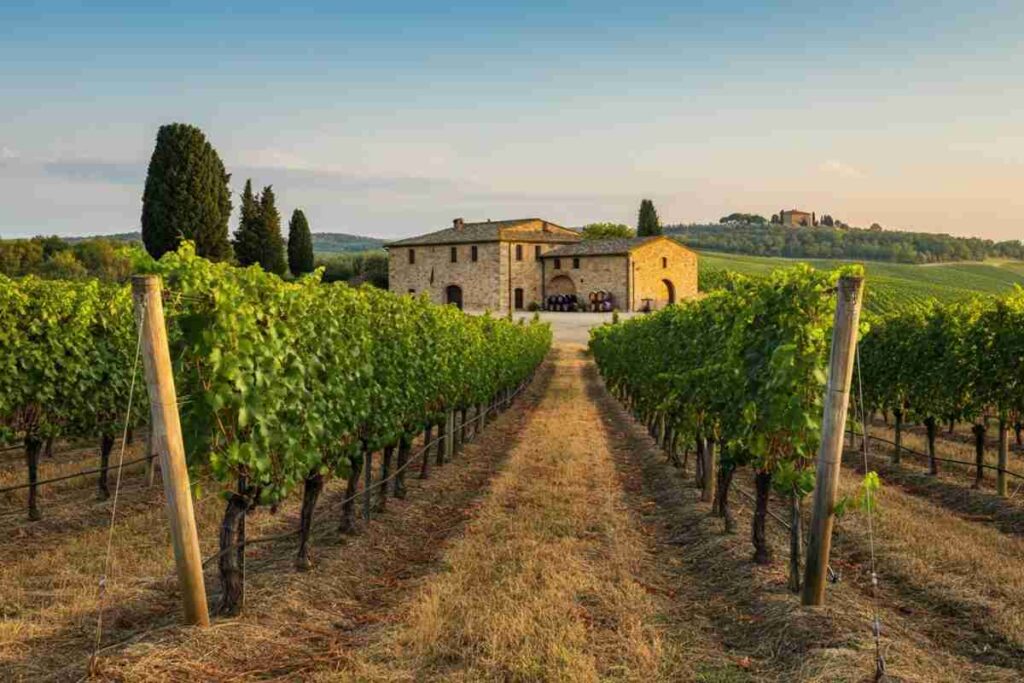 Nobile di Montepulciano: come l'aumento del costo della fascetta potenzia la promozione del vino