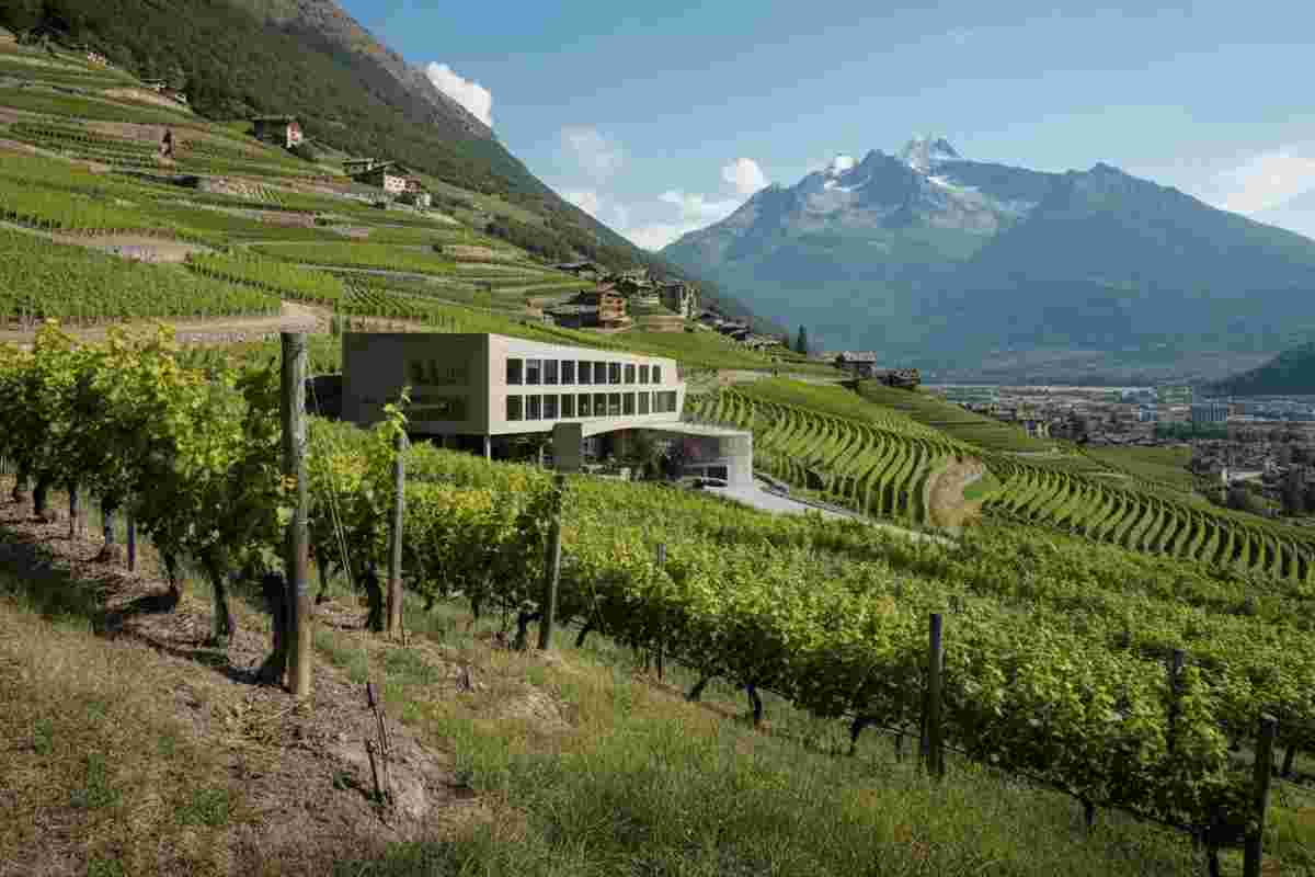 Nuovo presidente per il Consorzio Vini Valle d’Aosta: Bovard alla guida del cambiamento