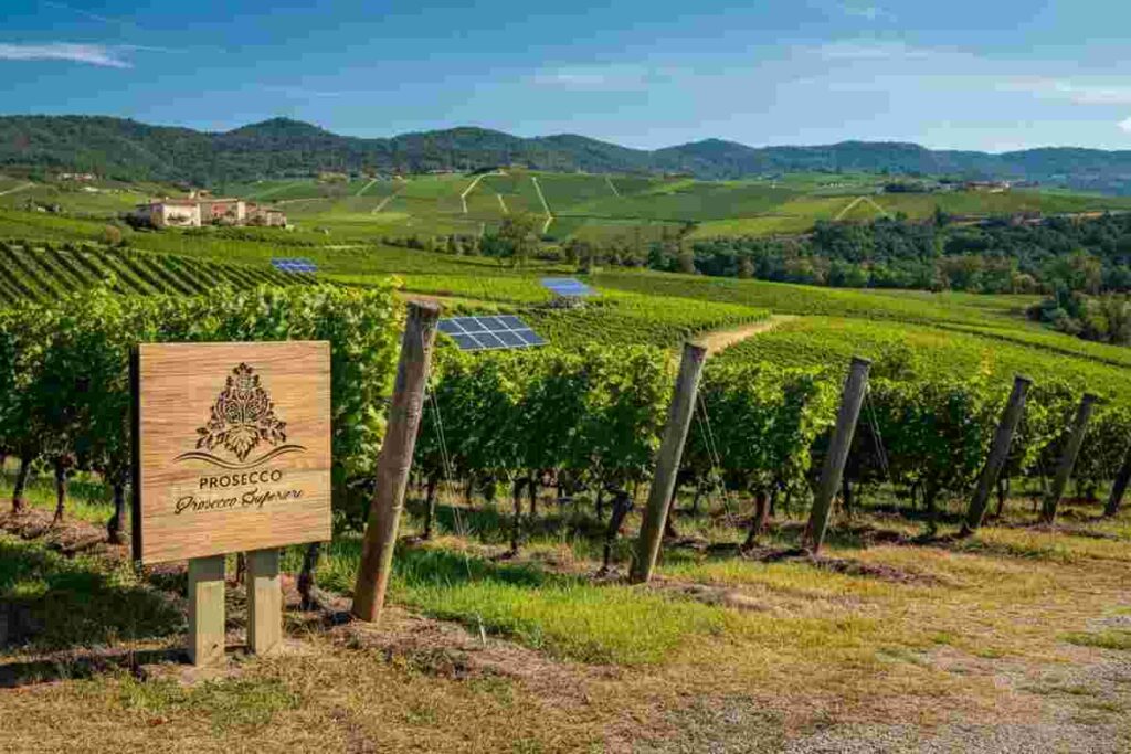 Perlage Winery festeggia 40 anni di sostenibilità con un logo rinnovato e vini d'autore esclusivi