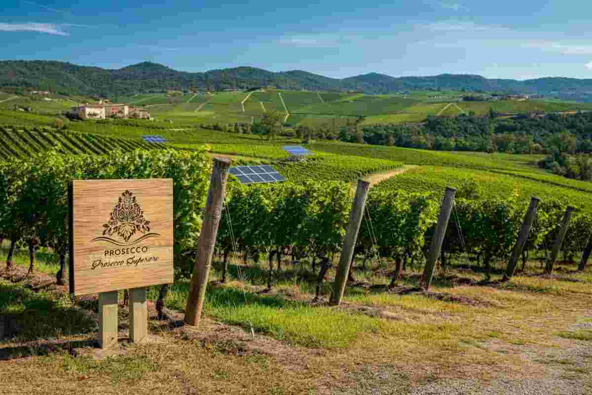 Perlage Winery festeggia 40 anni di sostenibilità con un logo rinnovato e vini d'autore esclusivi