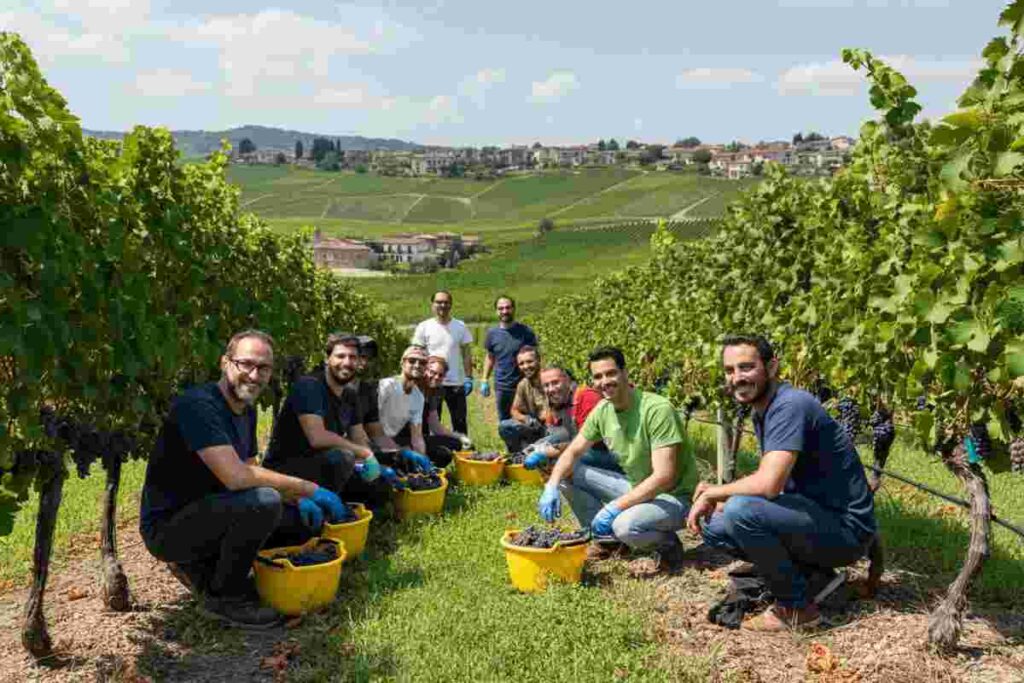 Raccolti oltre 17 mila euro per il progetto CDF Safe Teen Dolomiti nella vendemmia solidale 2024