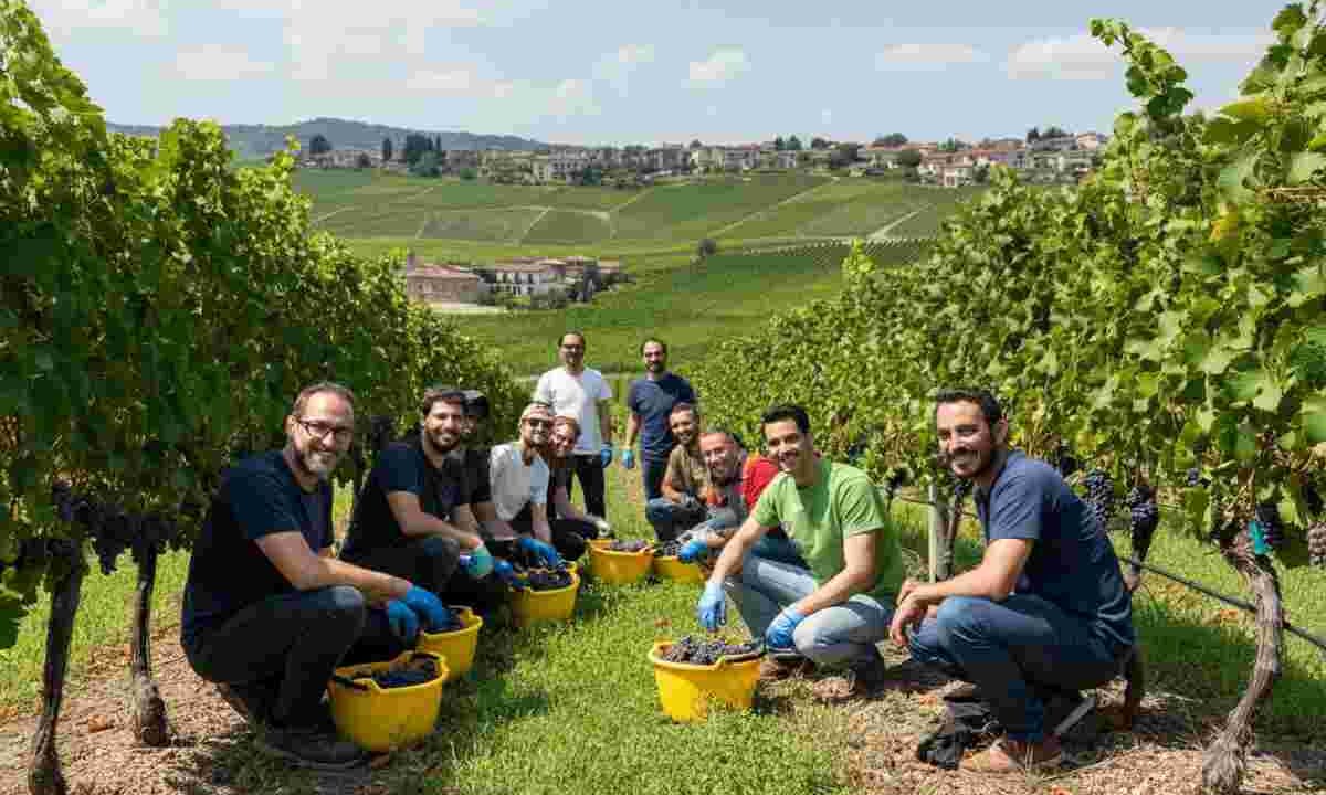 Raccolti oltre 17 mila euro per il progetto CDF Safe Teen Dolomiti nella vendemmia solidale 2024