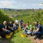 Raccolti oltre 17 mila euro per il progetto CDF Safe Teen Dolomiti nella vendemmia solidale 2024