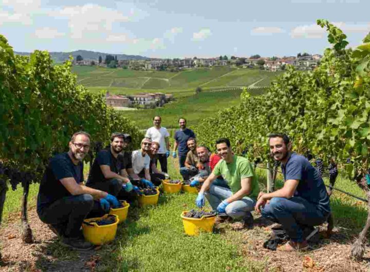 Raccolti oltre 17 mila euro per il progetto CDF Safe Teen Dolomiti nella vendemmia solidale 2024