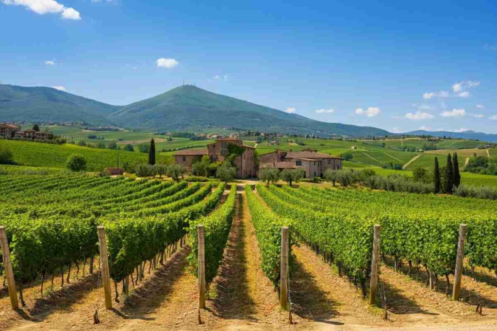 Radici: un viaggio affascinante nella storia del vino umbro