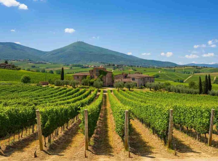 Radici: un viaggio affascinante nella storia del vino umbro