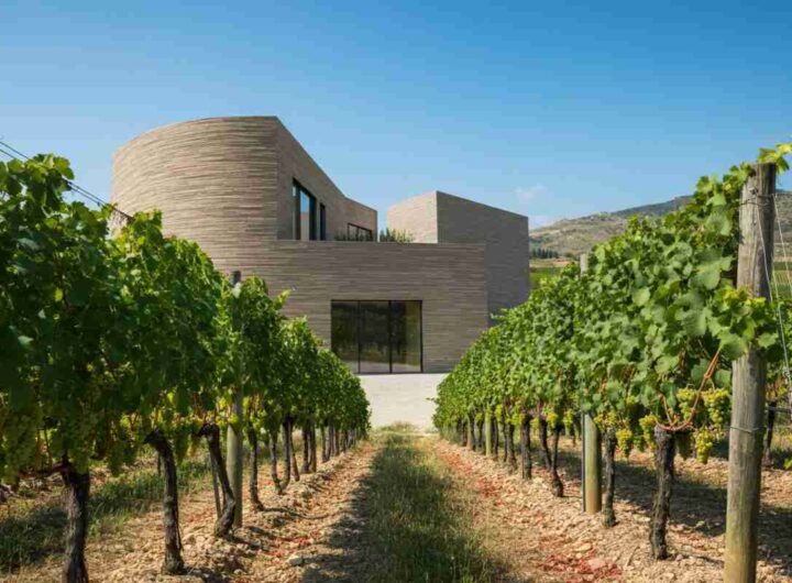 Riscoprire il vino: un manifesto culturale per una narrazione contemporanea