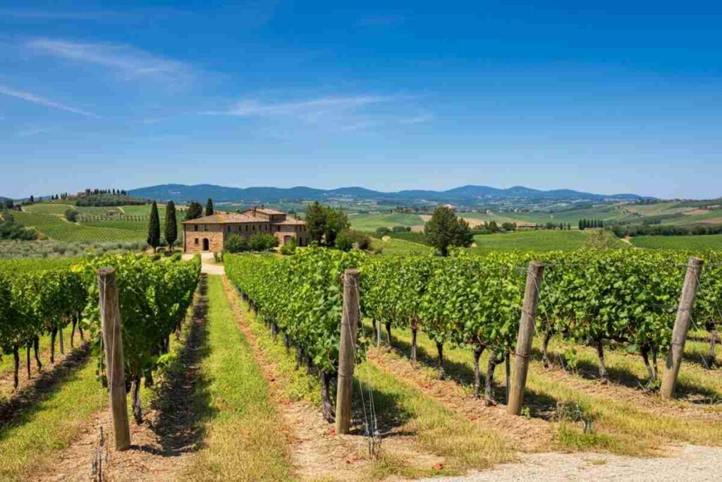 Rossi conquista il terzo mandato alla guida di Nobile Montepulciano