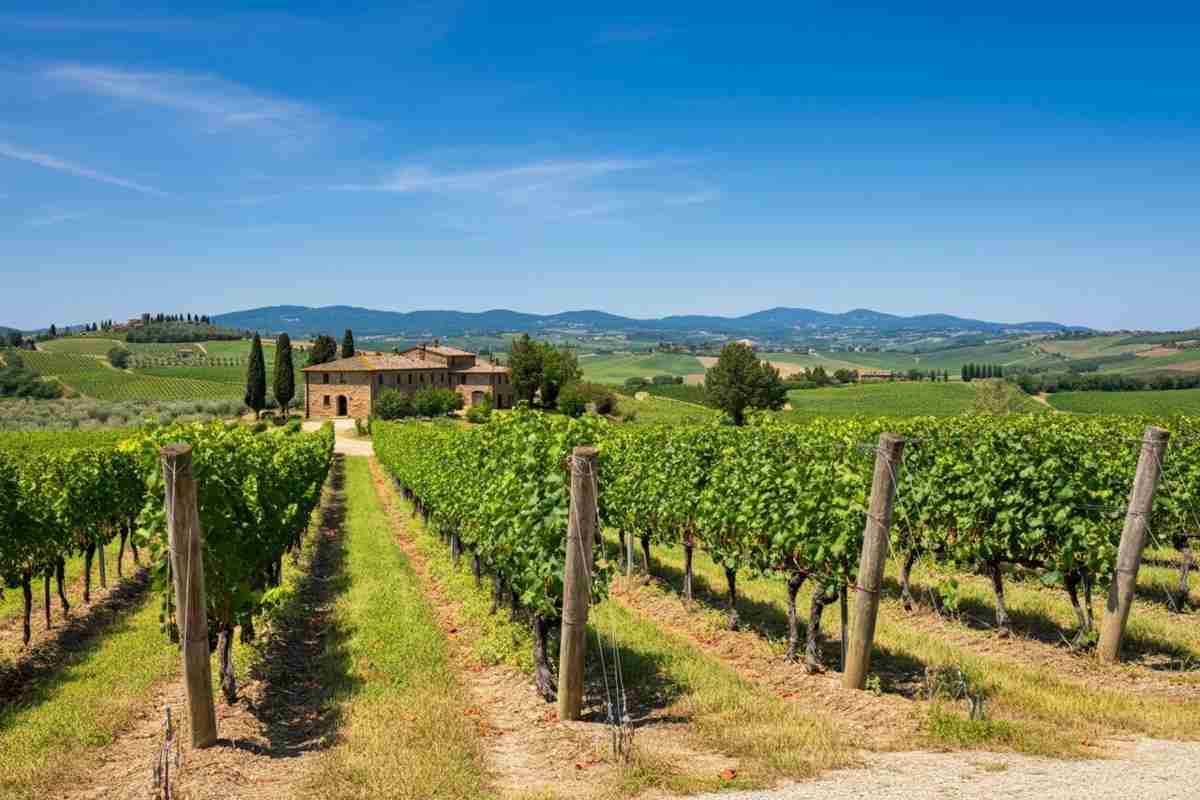 Rossi conquista il terzo mandato alla guida di Nobile Montepulciano