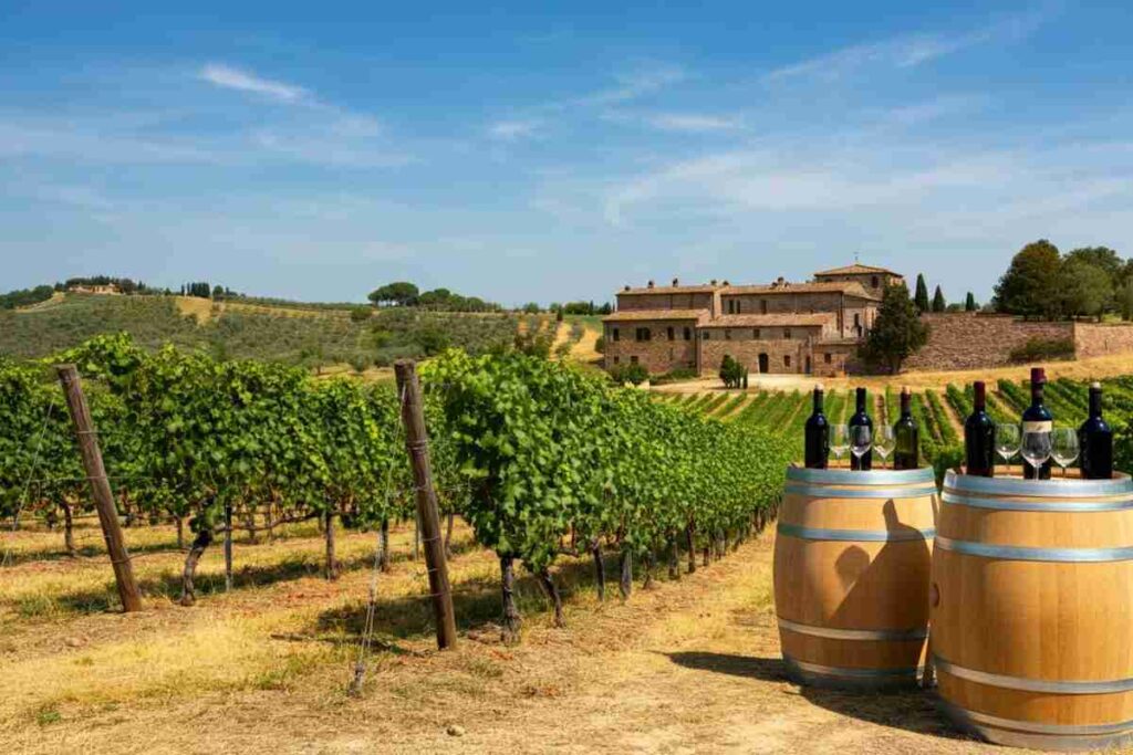 Rossi riconfermato presidente del Vino Nobile di Montepulciano: cosa cambia per il futuro?