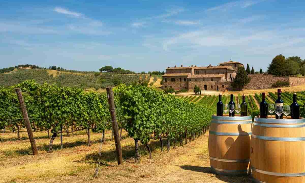 Rossi riconfermato presidente del Vino Nobile di Montepulciano: cosa cambia per il futuro?