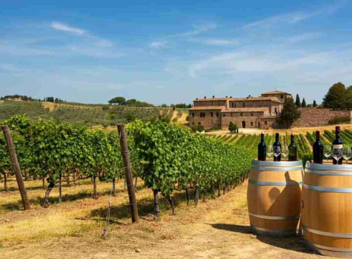 Rossi riconfermato presidente del Vino Nobile di Montepulciano: cosa cambia per il futuro?